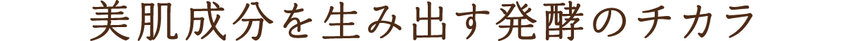 美肌成分を生み出す発酵のチカラ