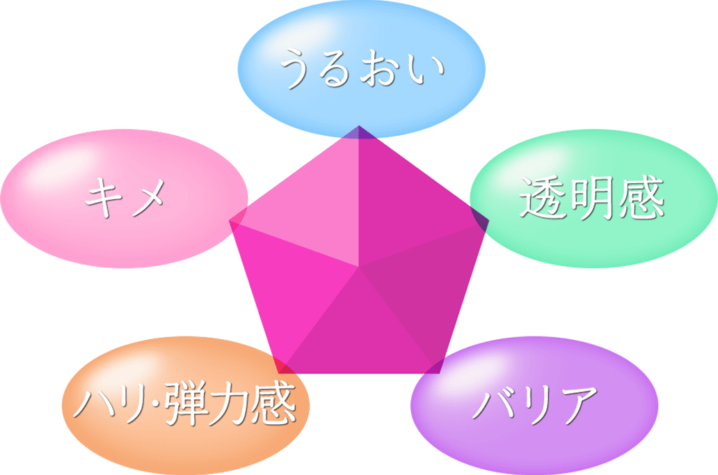 うるおい 透明感 バリア ハリ・弾力感 キメ