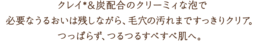 クレイ＊&炭配合のクリーミィな泡で必要なうるおいは残しながら、毛穴の汚れまですっきりクリア。つっぱらず、つるつるすべすべ肌へ。