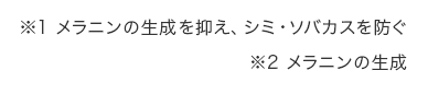 ※1 メラニンの生成を抑え、シミ・ソバカスを防ぐ ※2 メラニンの生成