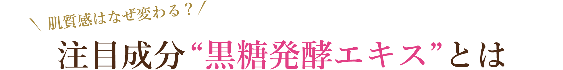 注目成分“黒糖発酵エキス”とは