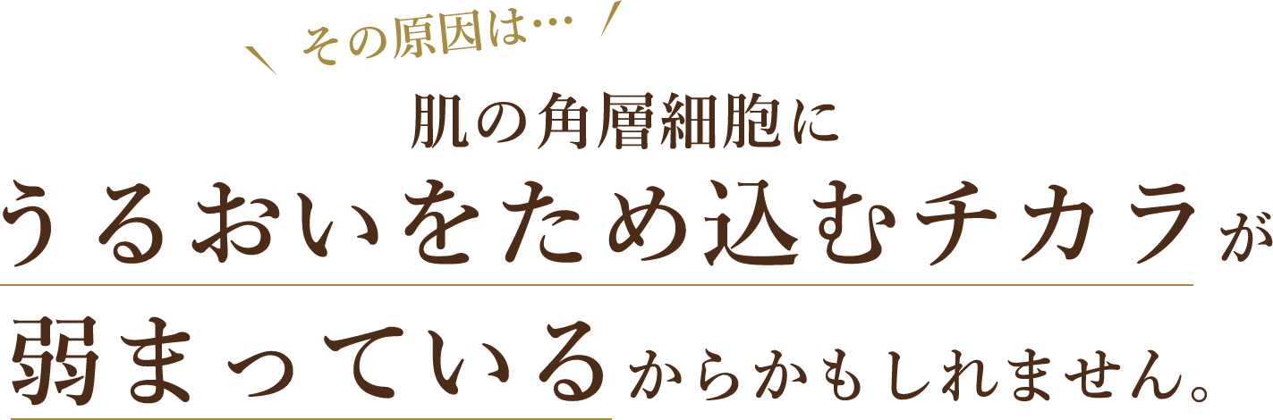 その原因は… 肌の角層細胞にうるおいをため込むチカラが弱まっているからかもしれません。