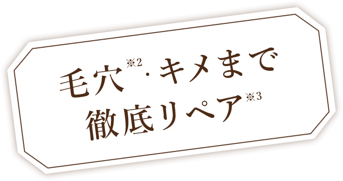 毛穴・キメまで徹底リペア