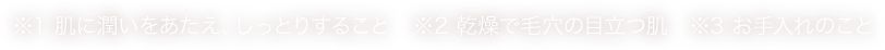 ※1 肌に潤いをあたえ、しっとりすること　※2 乾燥で毛穴の目立つ肌　※3 お手入れのこと