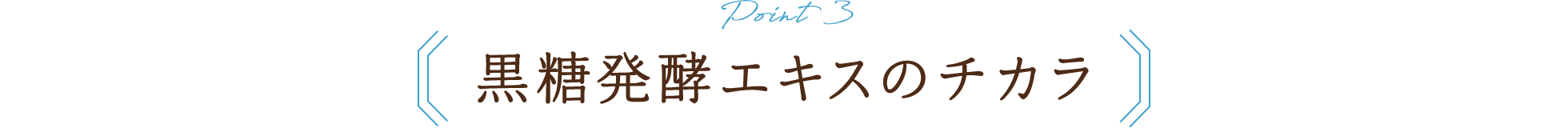 Point3 黒糖発酵エキスのチカラ