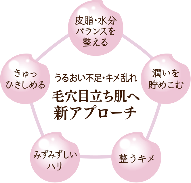 うるおい不足・キメ乱れ 毛穴目立ち肌へ新アプローチ