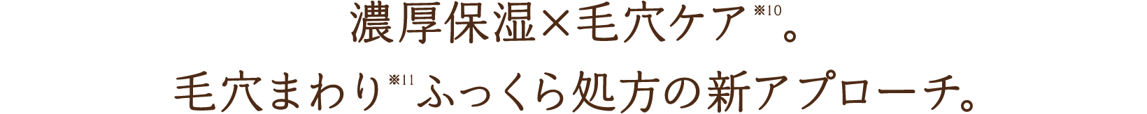 濃厚保湿×毛穴ケア※10。毛穴まわり※11ふっくら処方の新アプローチ。