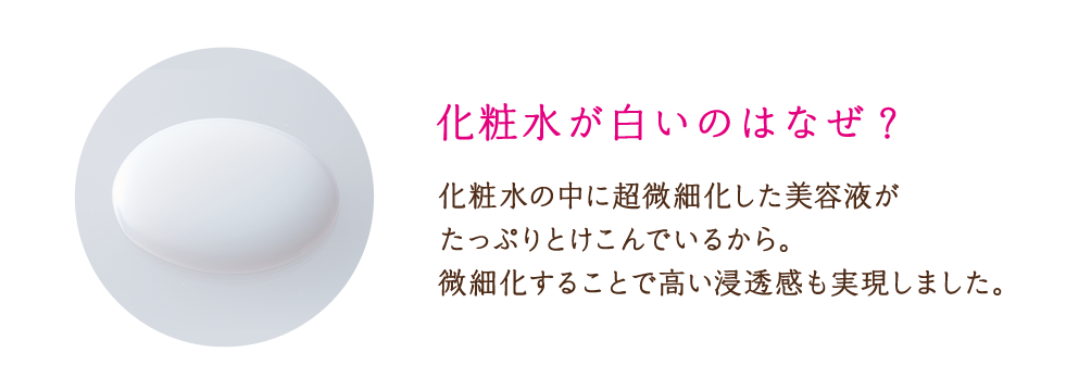 うるおい不足・キメ乱れ 毛穴目立ち肌へ新アプローチ