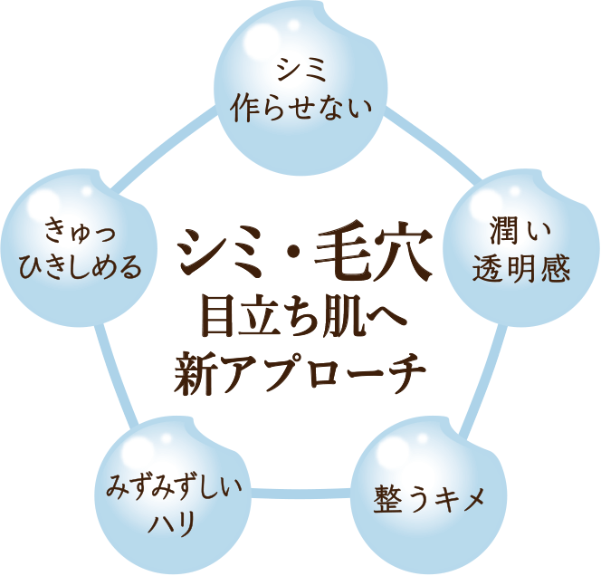 シミ・毛穴 目立ち肌へ新アプローチ