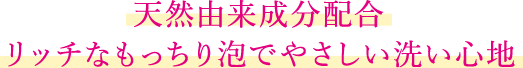 天然由来成分配合 リッチなもっちり泡でやさしい洗い心地