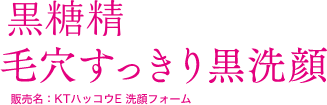 黒糖精 毛穴すっきり黒洗顔