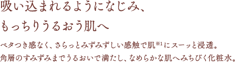 吸い込まれるようになじみ、もっちりうるおう肌へ