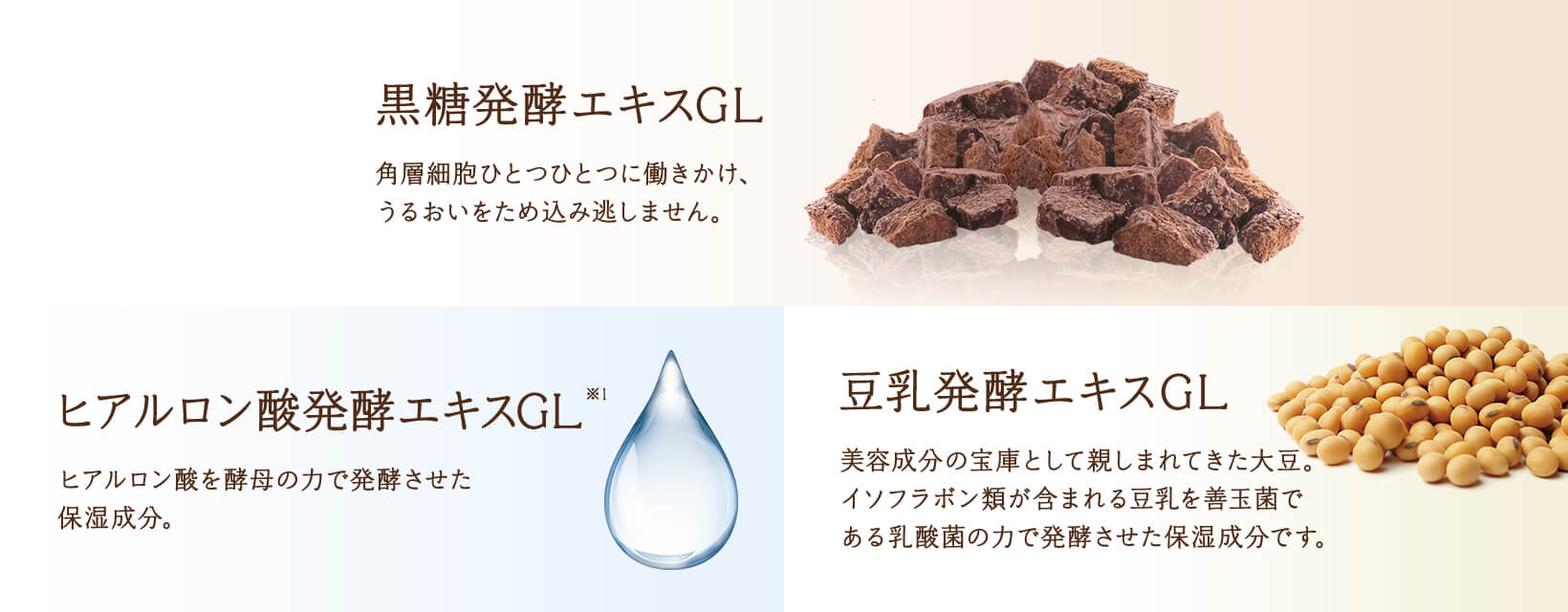 黒糖発酵エキスGL / ヒアルロン酸発酵エキスGL※1 / 豆乳発酵エキスGL