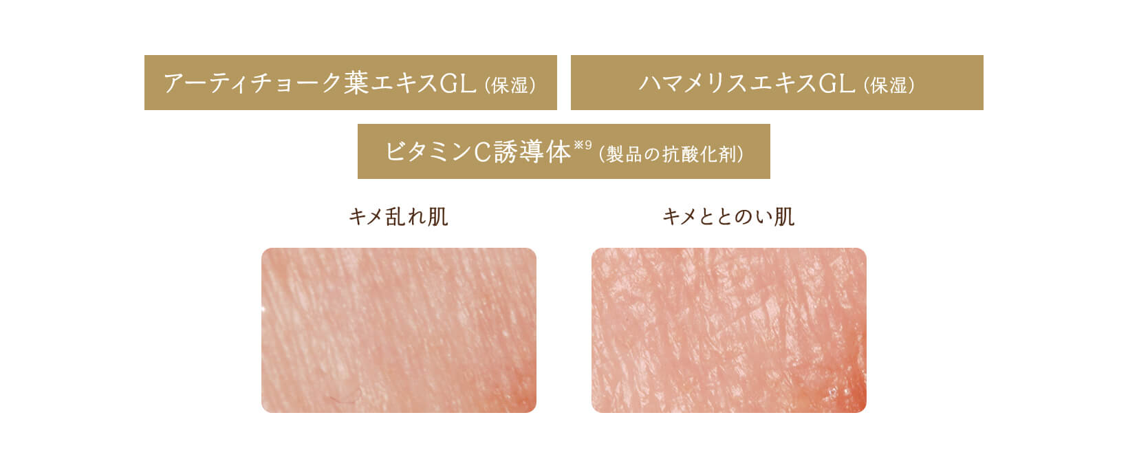 アーティチョーク葉エキスGL(保湿) / ハマメリスエキスGL(保湿) / ビタミンC誘導体※9(製品の抗酸化剤)